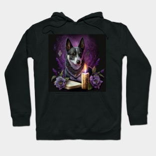 Ritualistic Australian Cattle Dog Hoodie